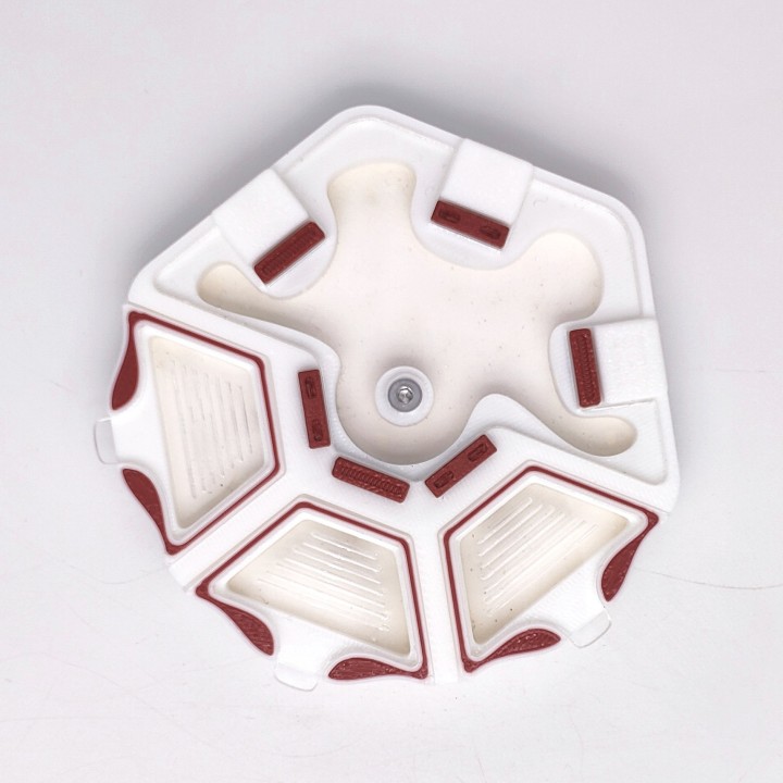 Alveo nano experia : module d'observation pour fourmis | FourmiCurieuse