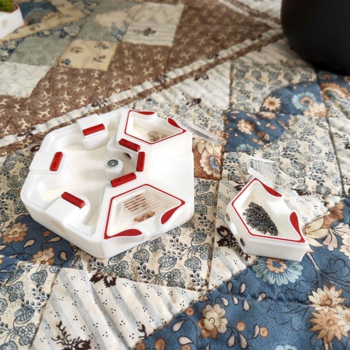 Alveo nano experia : module d'observation pour fourmis | FourmiCurieuse