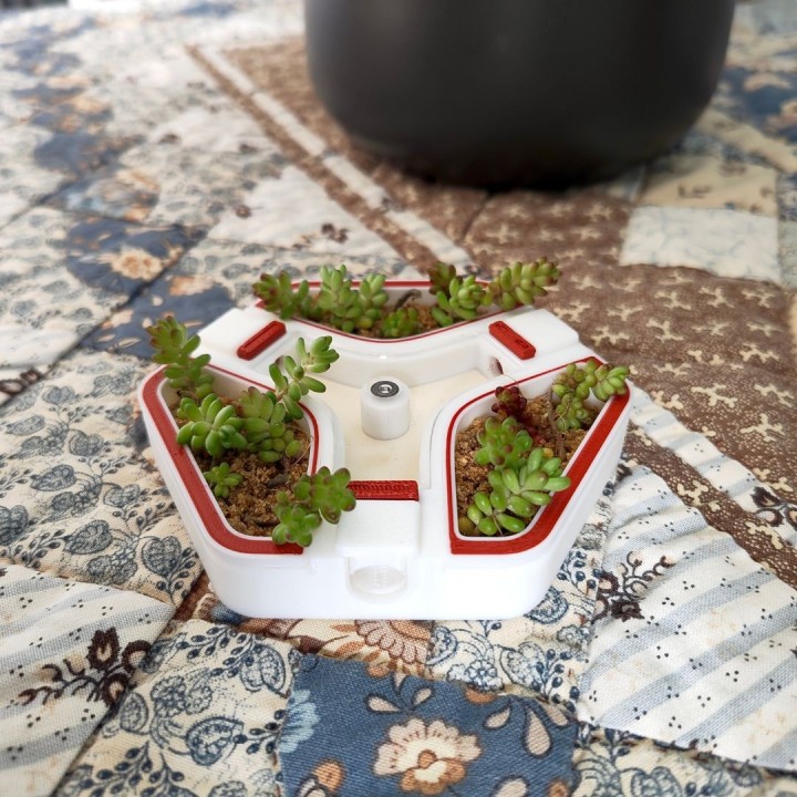 Alveo nano flora : module d'observation pour fourmis | FourmiCurieuse