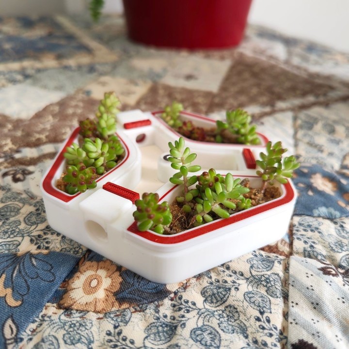 Alveo nano flora : module d'observation pour fourmis | FourmiCurieuse