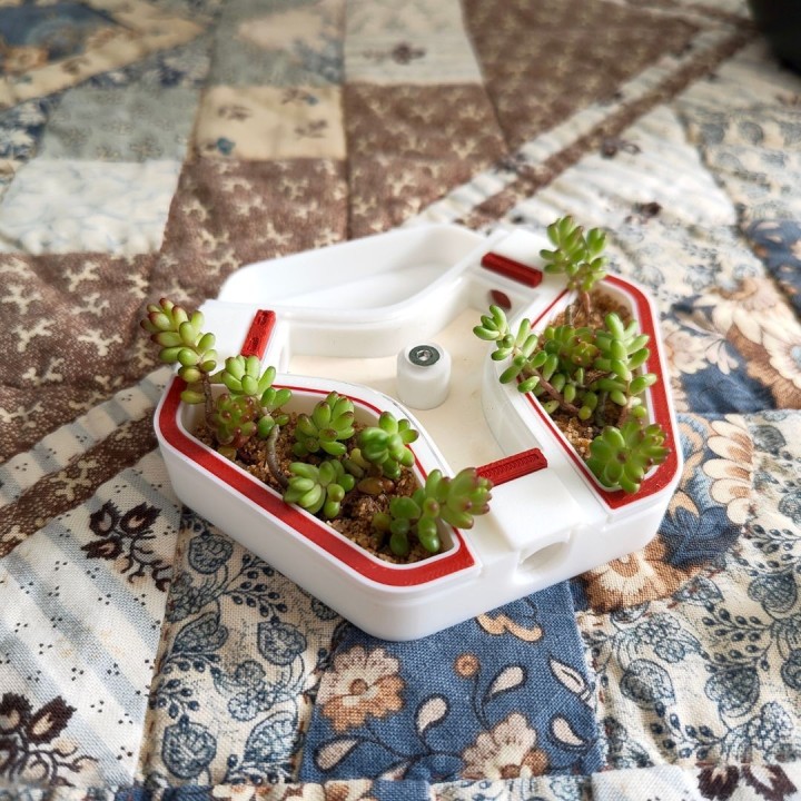 Alveo nano flora : module d'observation pour fourmis | FourmiCurieuse