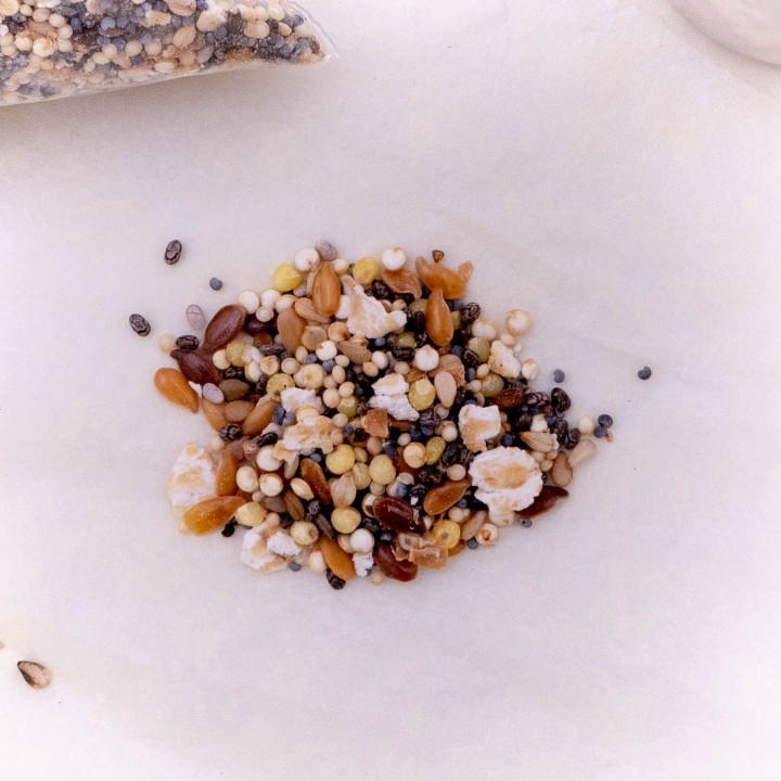 Graines et protéines pour fondation de Messor 35g - 50g | FourmiCurieuse