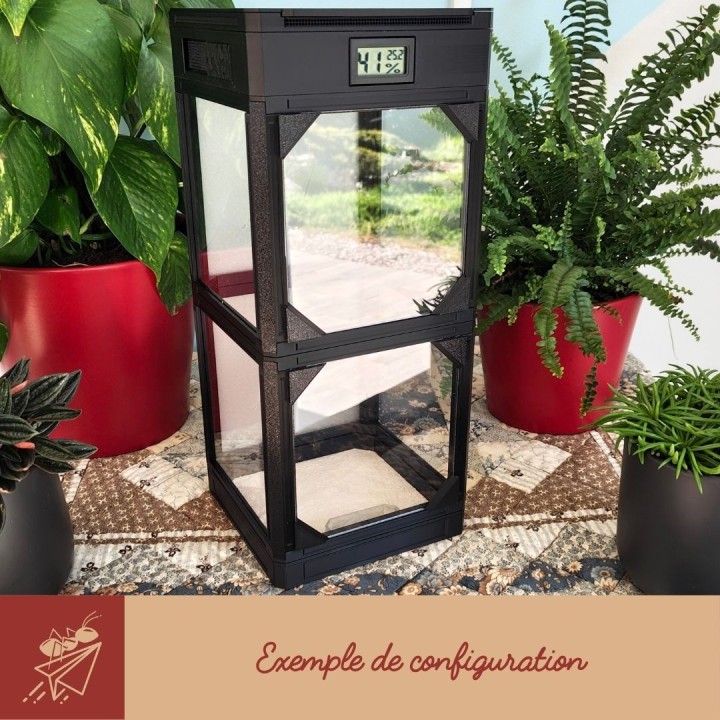 Terrarium Viva : kit complet pour insectes et invertébrés | FourmiCurieuse