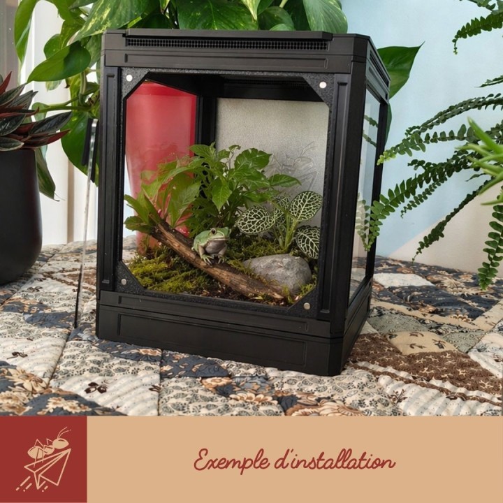 Terrarium Viva : kit complet pour insectes et invertébrés | FourmiCurieuse
