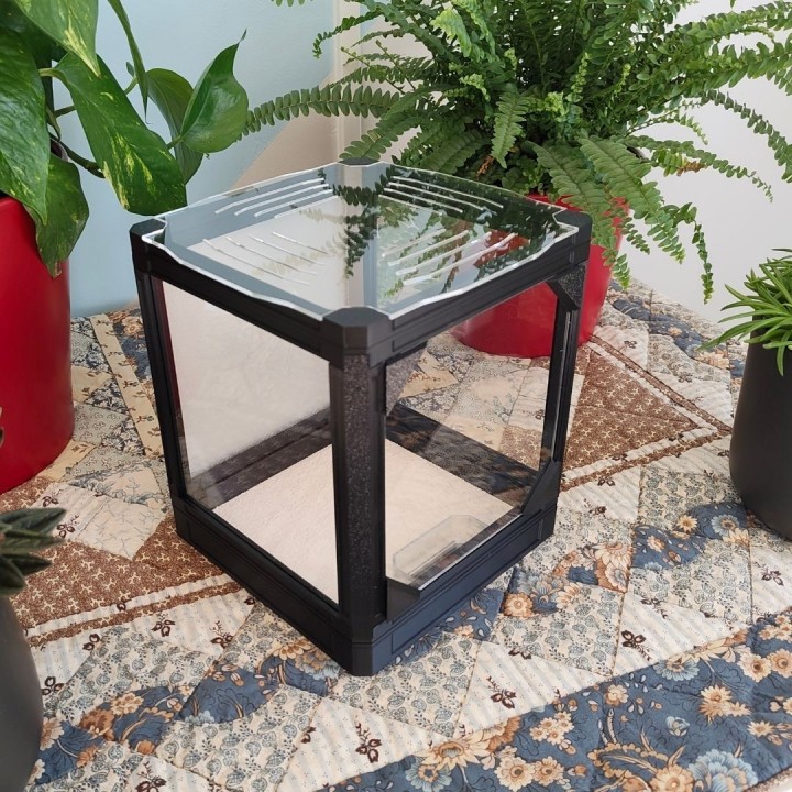 Terrarium Viva : kit complet pour insectes et invertébrés | FourmiCurieuse