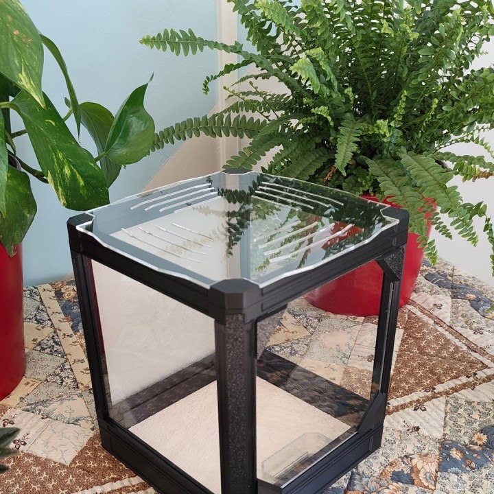 Toit vitre Viva pour terrarium modulable | FourmiCurieuse