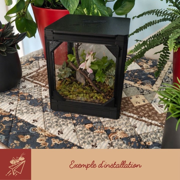 Toit mante Viva pour terrarium modulable | FourmiCurieuse