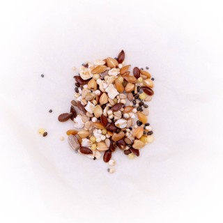 Graines pour grosses colonies de fourmis 50g - 100g - 200g | FourmiCurieuse