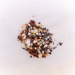 Graines pour petite colonie de fourmis 50g - 100g - 200g | FourmiCurieuse