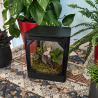 Terrarium